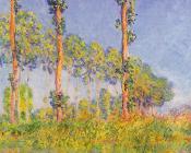 克劳德 莫奈 : Poplars, Autumn Effect